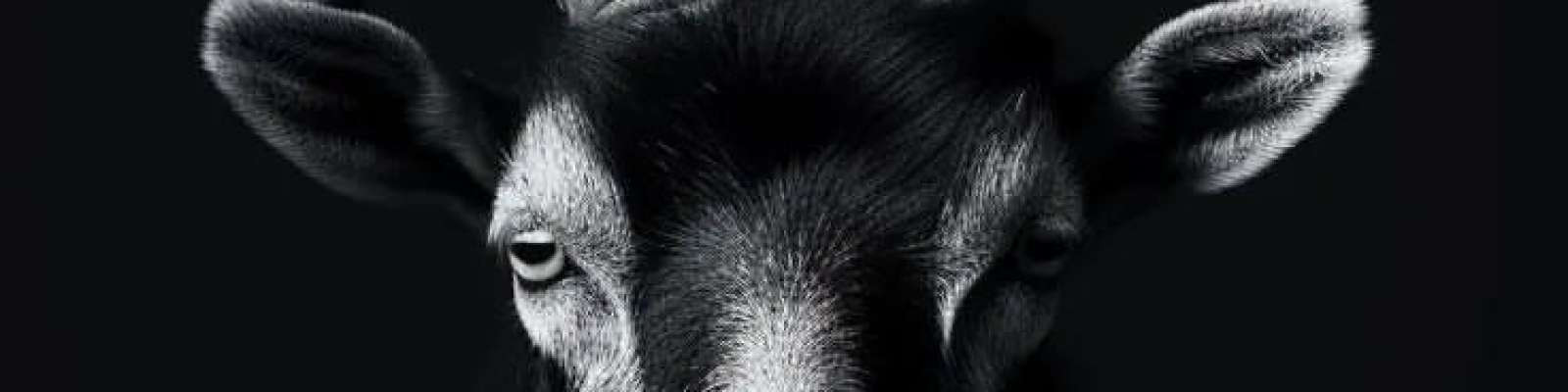 User Cover
